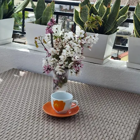 Haznedari-city Center 4* Berat