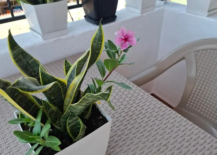 Pensión Haznedari-city Center 4*