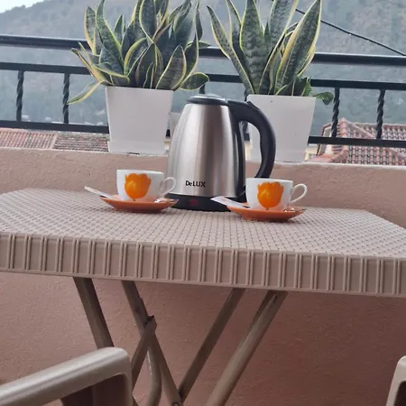 Pensionat Haznedari-city Center Berat