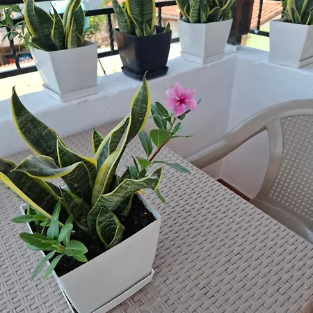 Pensjonat Haznedari-city Center 4*