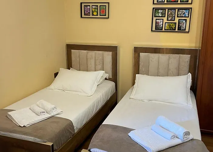 ゲストハウス Haznedari-city Center ベラト